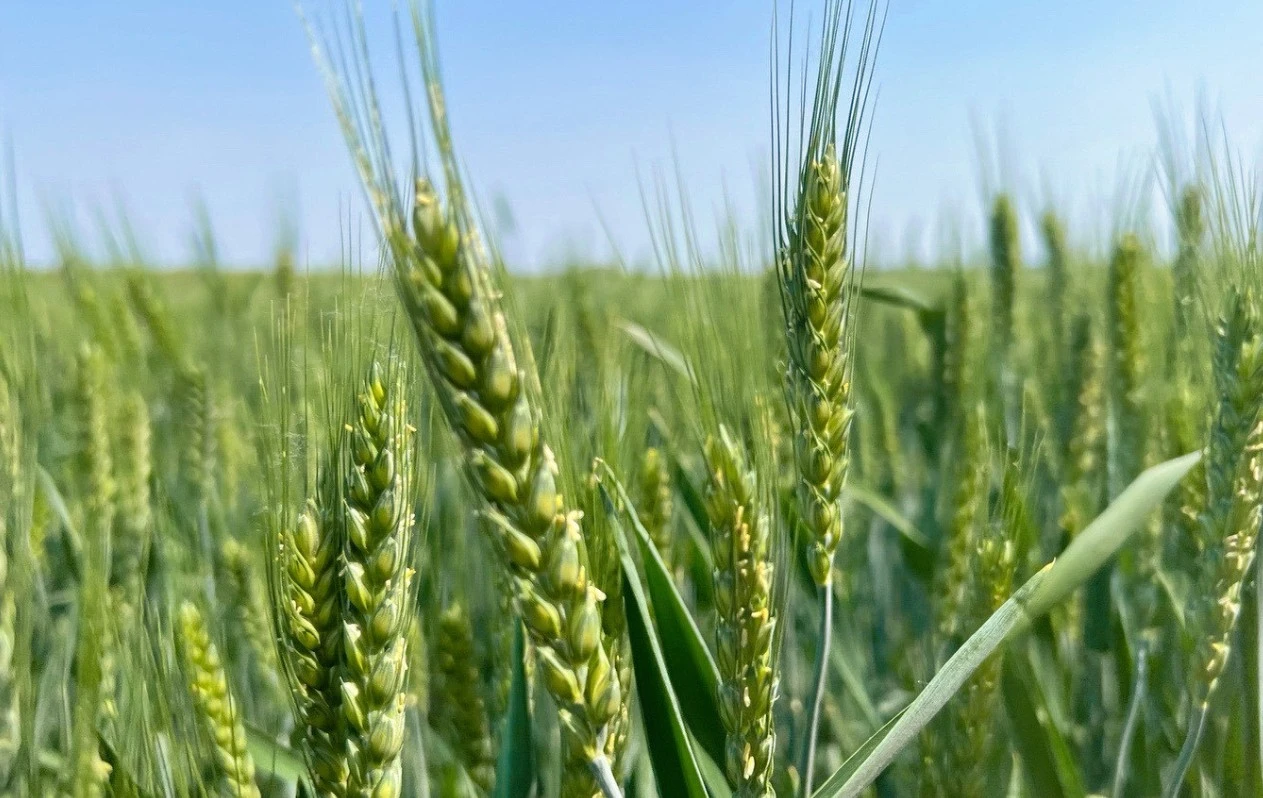 Screenshot 2025-05-19 at 21.19.04.JPG