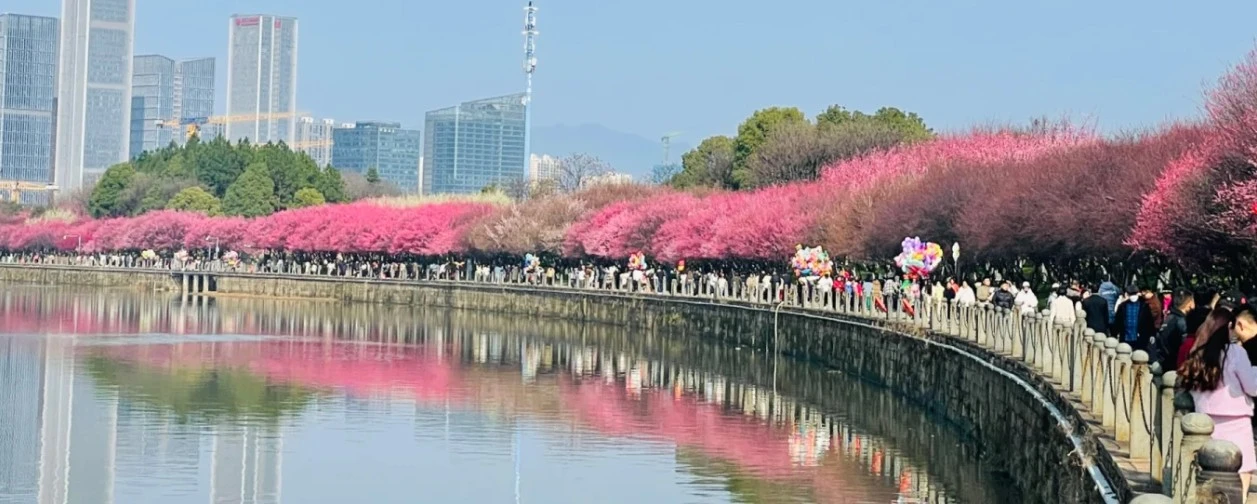 Screenshot 2025-08-17 at 00.33.08.JPG