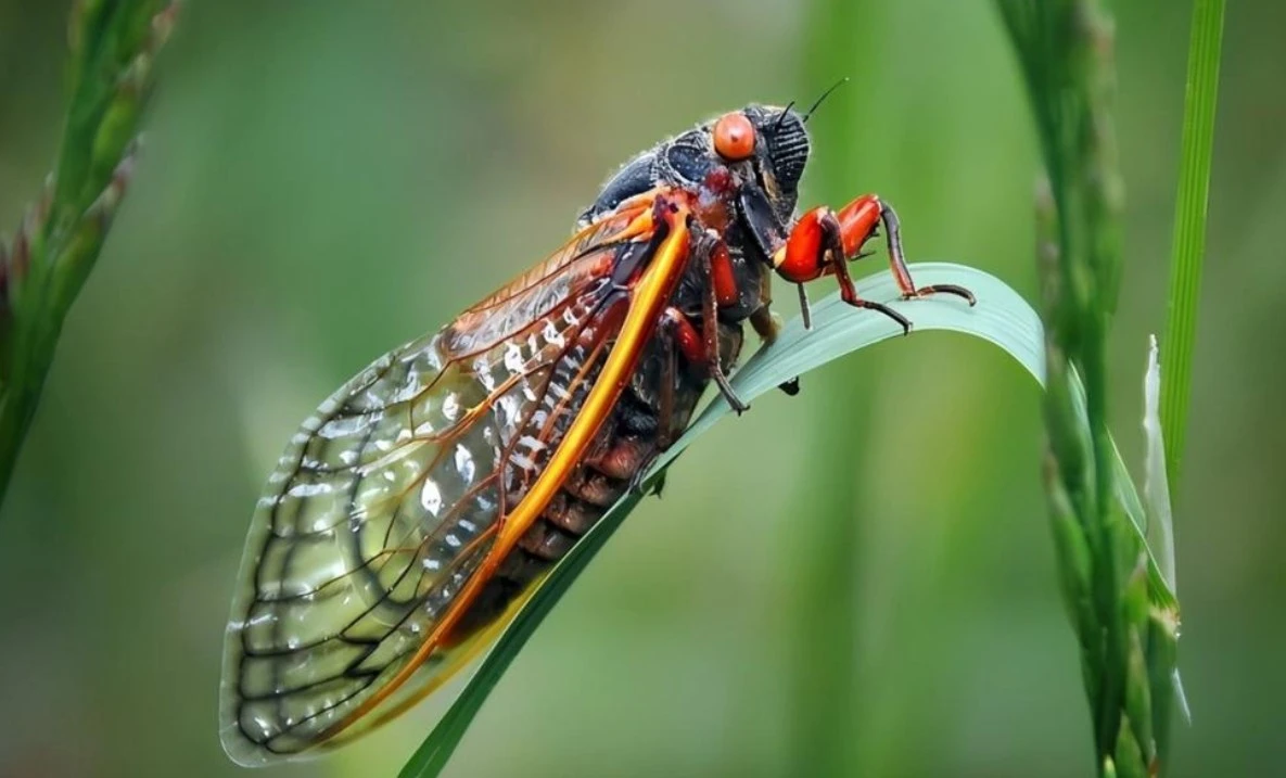 Screenshot 2025-05-12 at 00.07.44.JPG