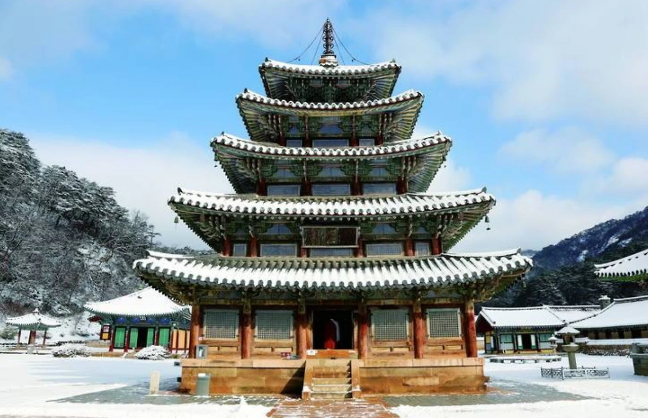 Screenshot 2024-12-20 at 23.05.16.JPG