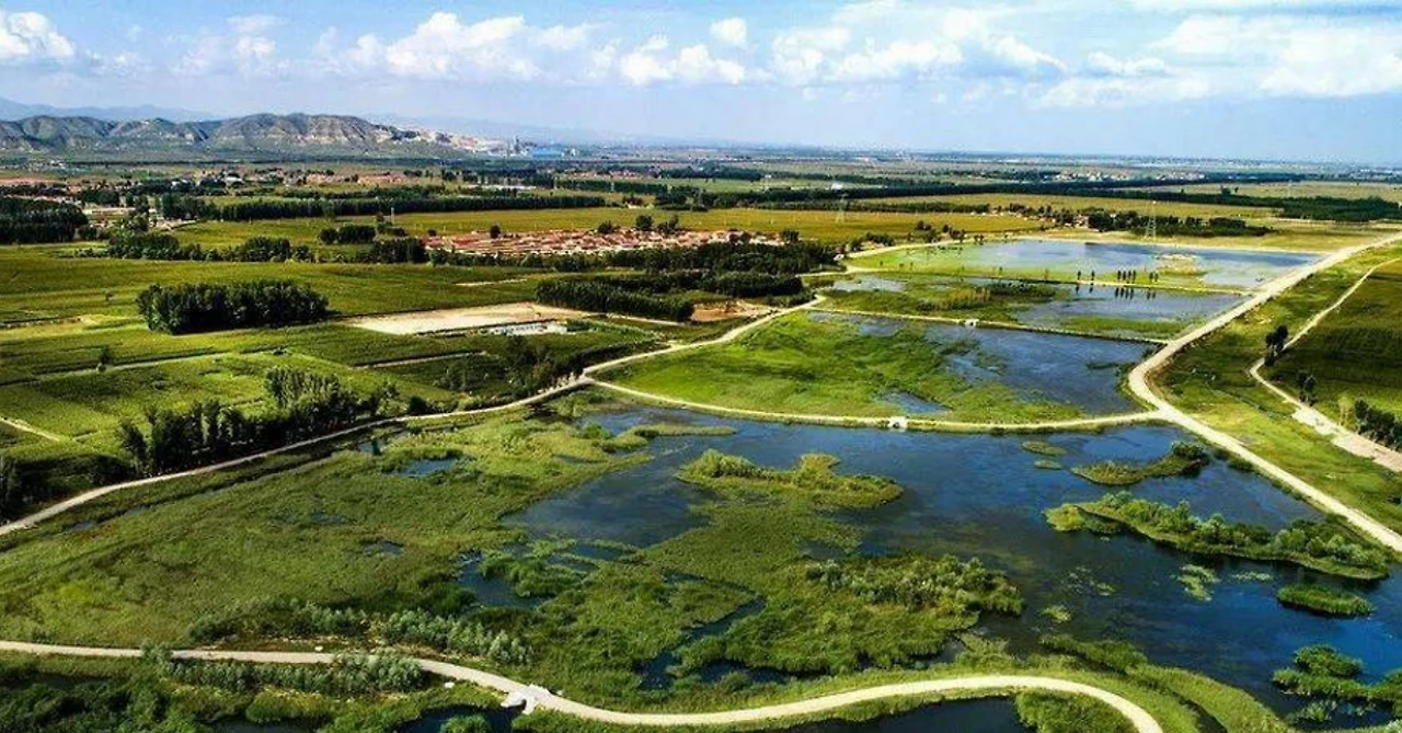 Screenshot 2024-12-18 at 00.10.03.JPG