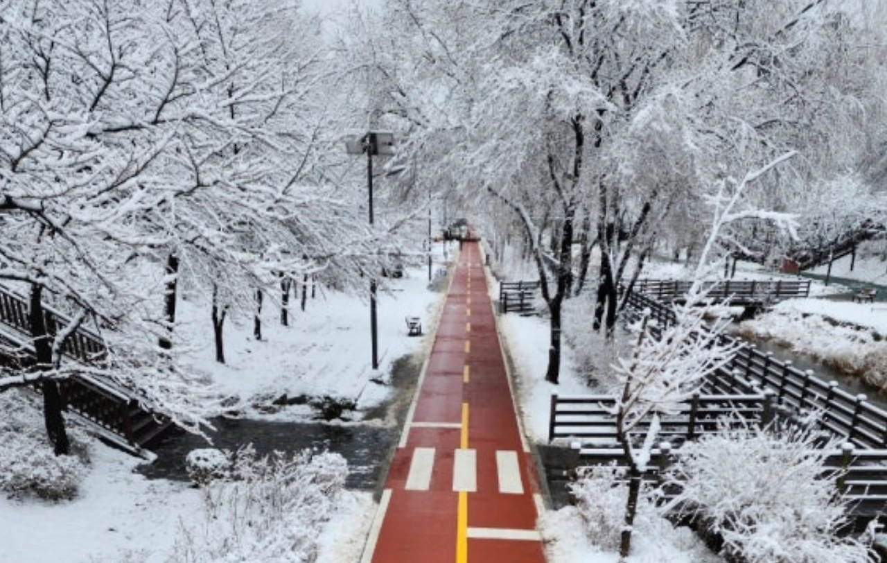 Screenshot 2025-01-13 at 20.22.20.JPG