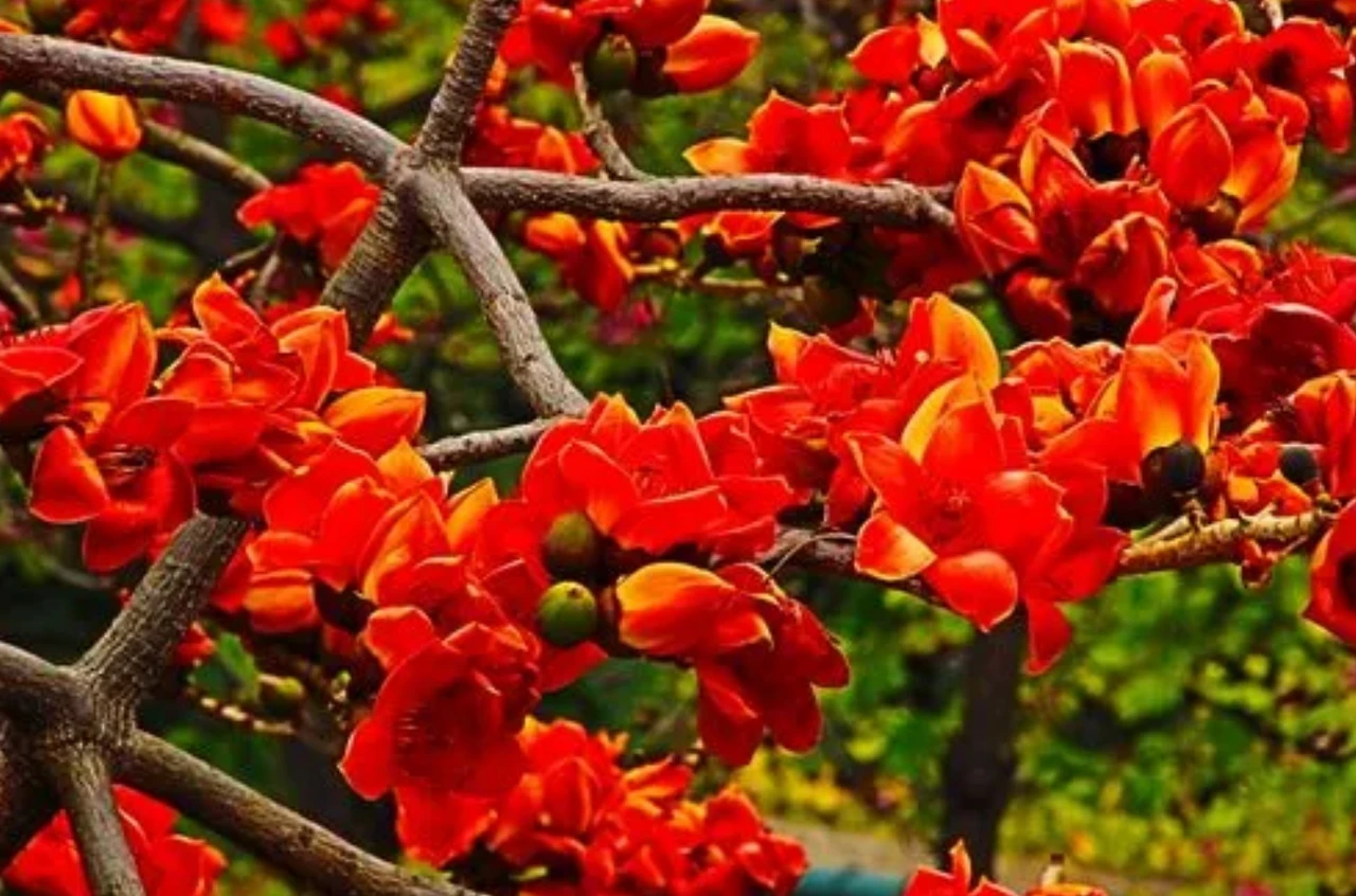 Screenshot 2024-07-18 at 00.06.15.JPG