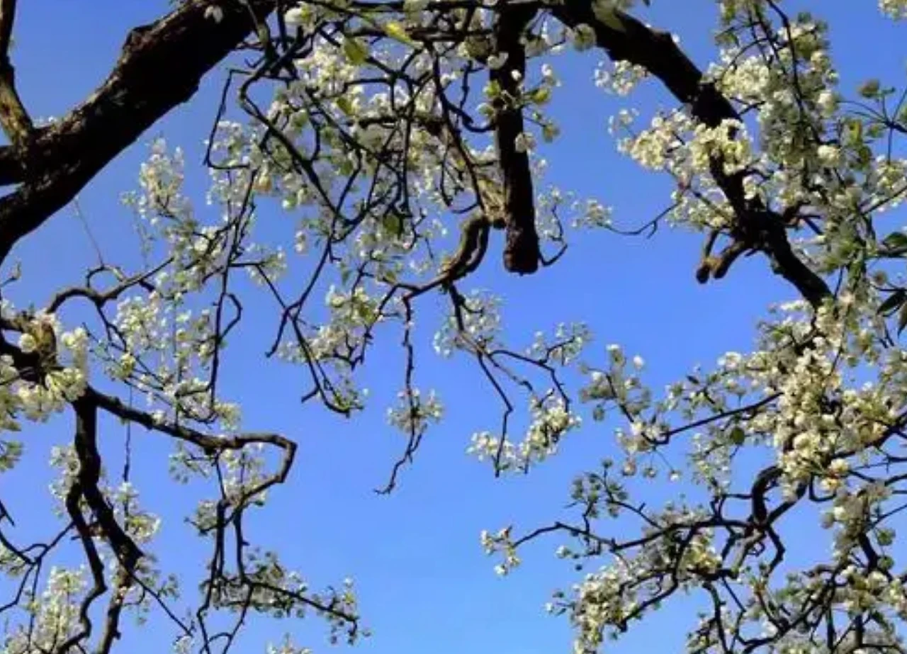 Screenshot 2024-12-20 at 23.16.09.JPG