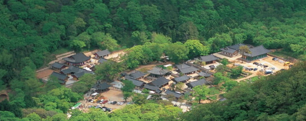 Screenshot 2025-05-11 at 13.38.25.JPG