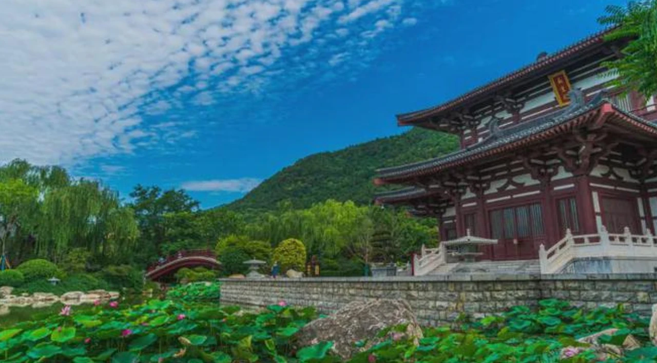 Screenshot 2024-07-17 at 22.14.26.JPG