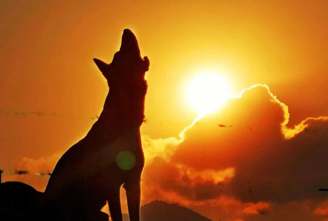 Screenshot 2024-01-24 at 15.01.43.JPG