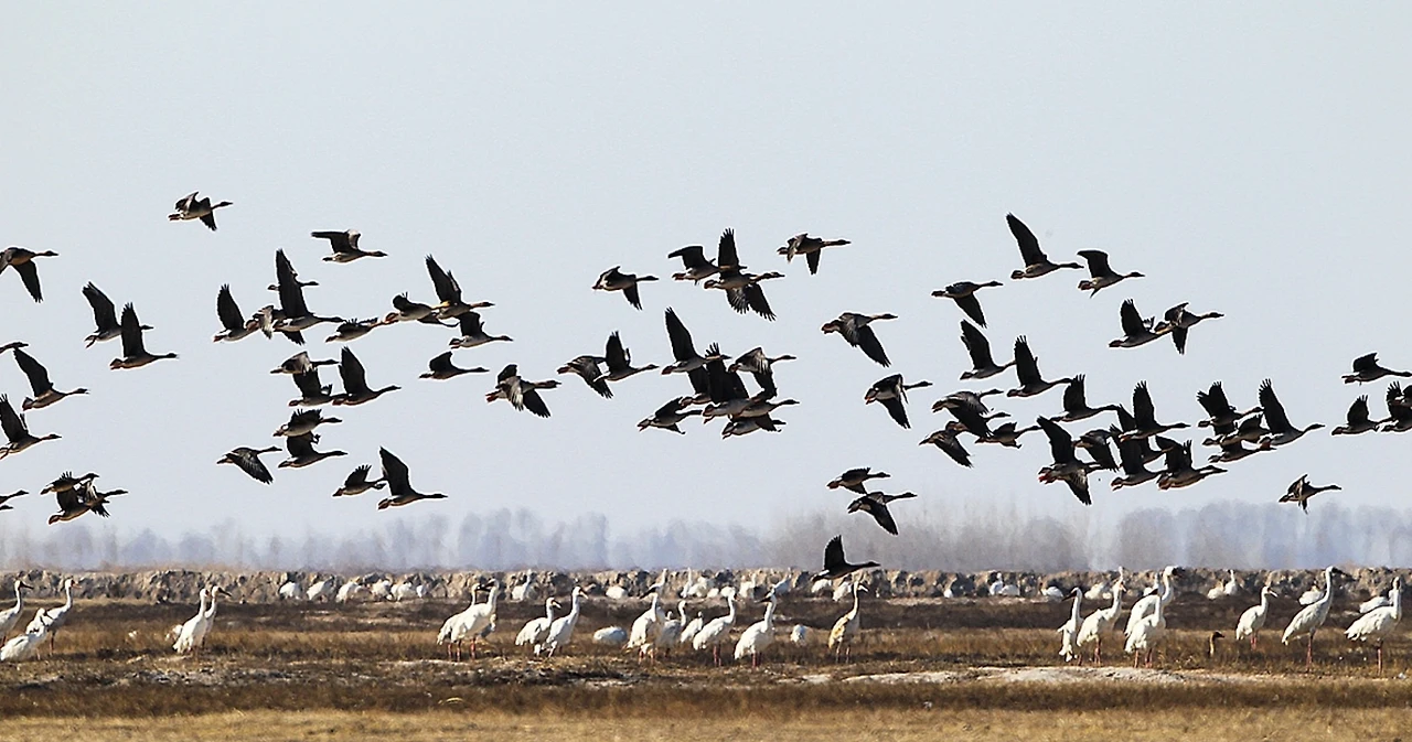 Screenshot 2024-06-22 at 19.24.11.JPG