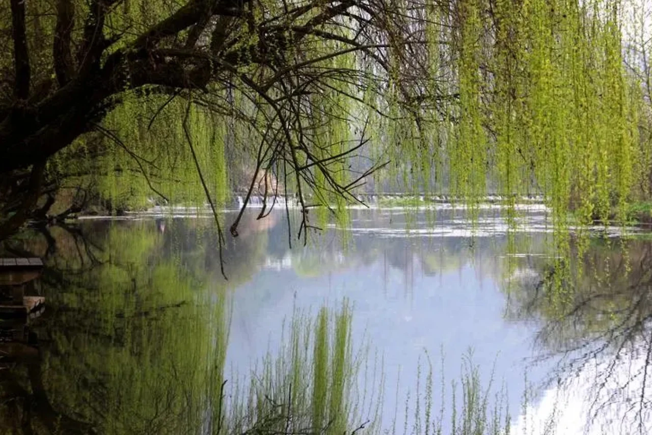 Screenshot 2024-06-22 at 23.51.41.JPG