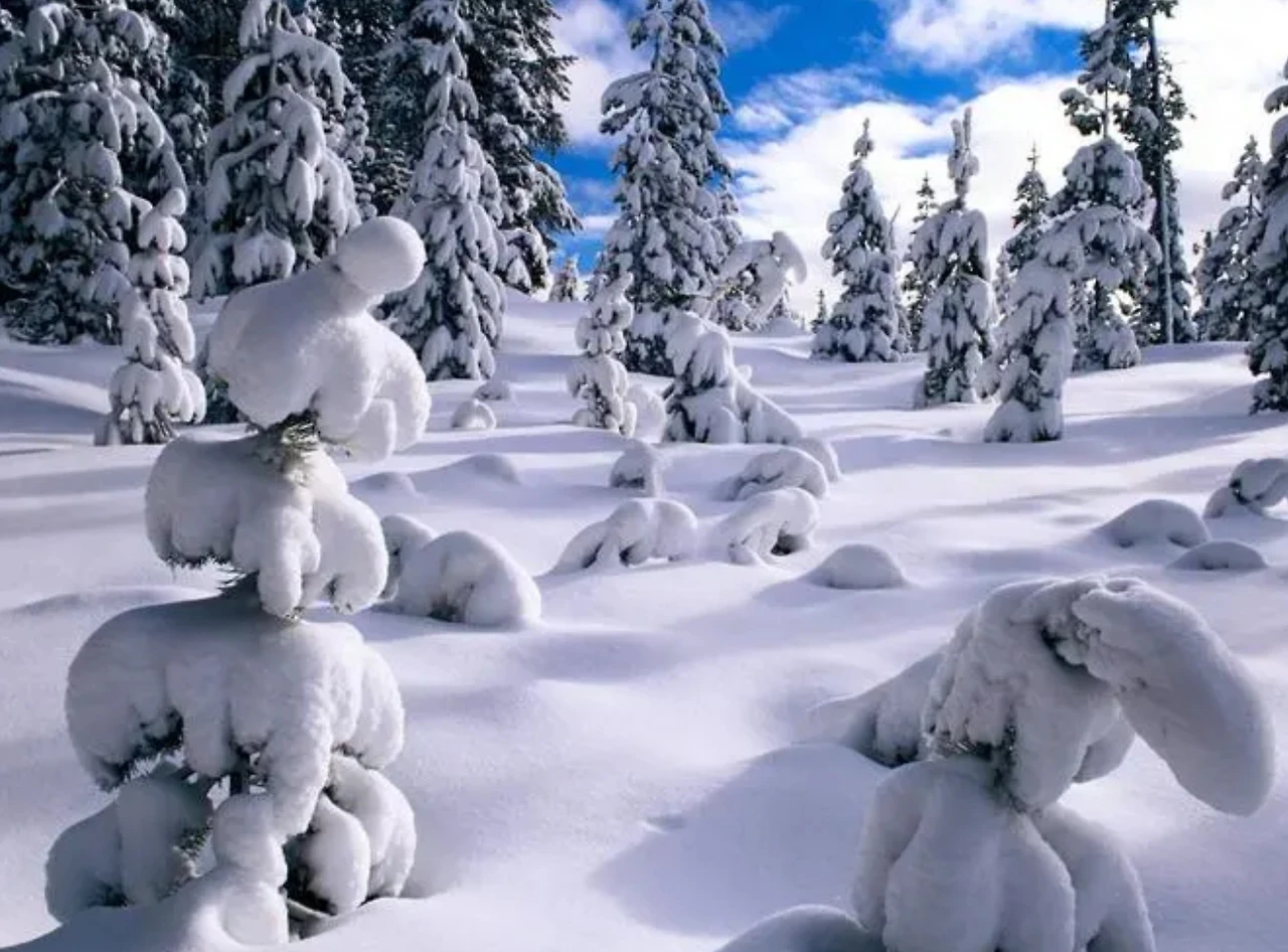 Screenshot 2024-04-28 at 20.47.44.JPG