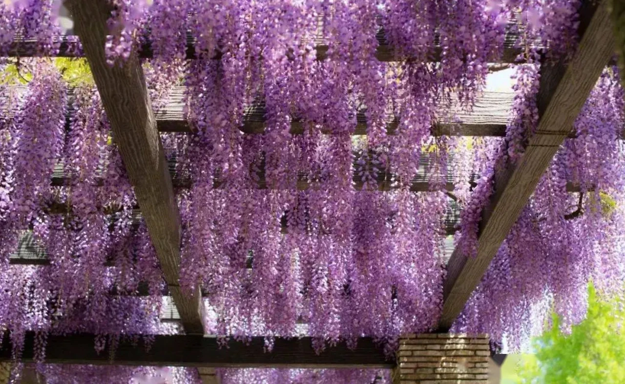 Screenshot 2024-06-21 at 23.33.05.JPG