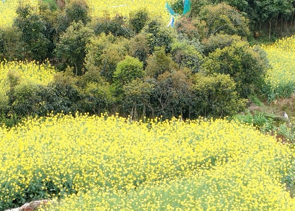 Screenshot 2024-12-19 at 23.33.24.JPG