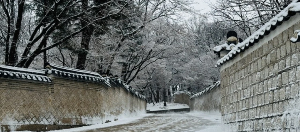 Screenshot 2025-01-13 at 20.26.37.JPG