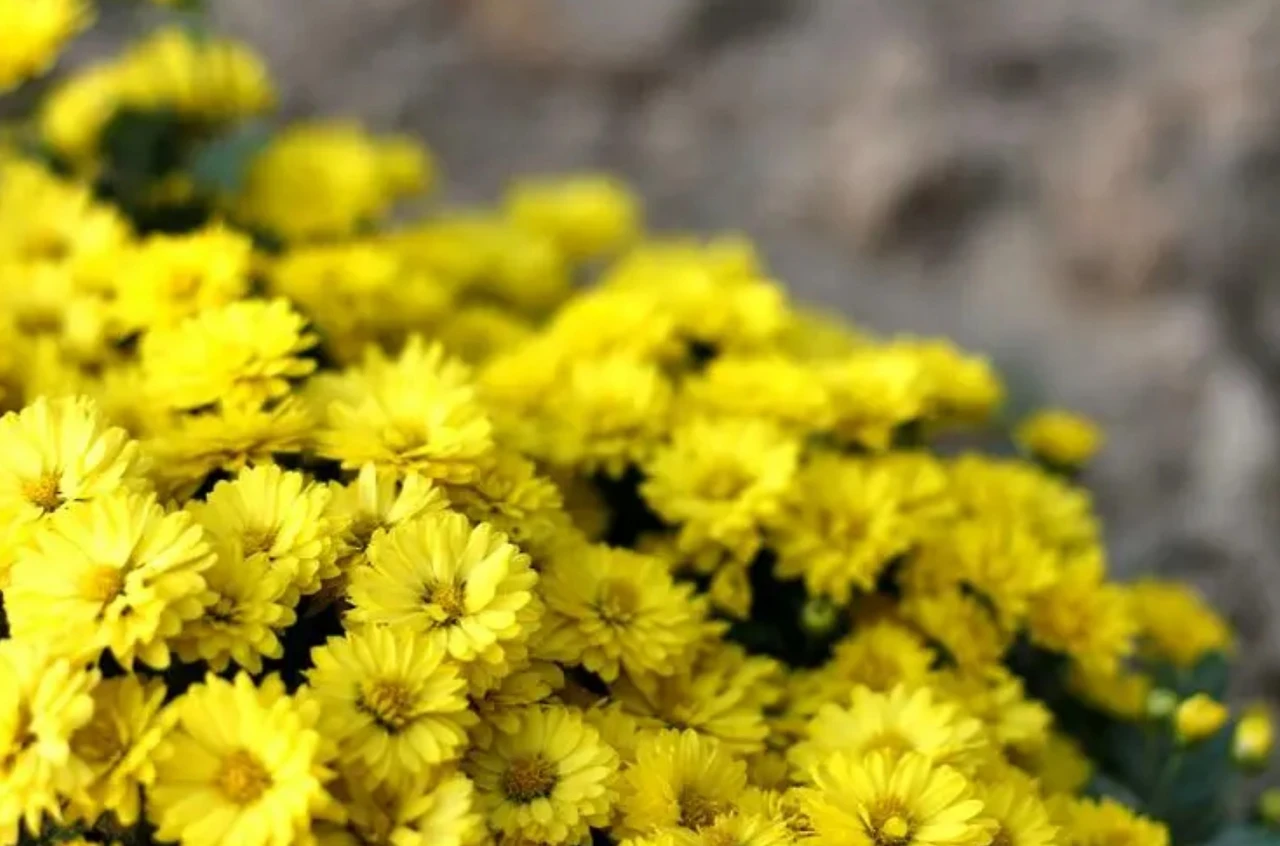 Screenshot 2024-07-19 at 22.10.20.JPG