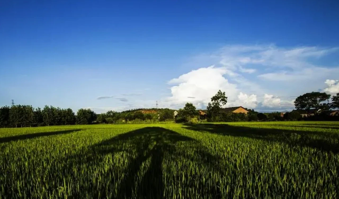 Screenshot 2024-02-10 at 02.03.03.JPG