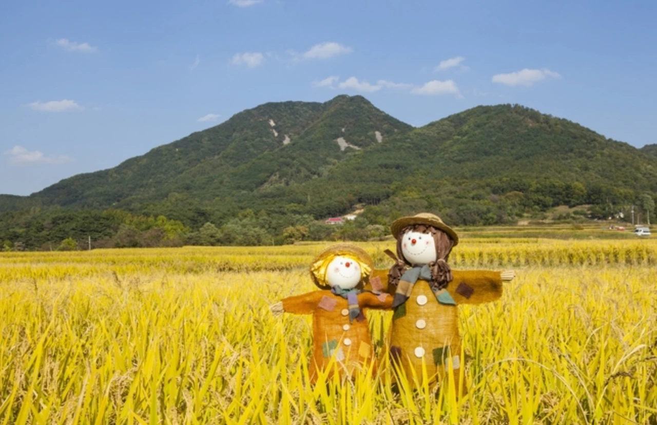 Screenshot 2024-05-14 at 11.43.14.JPG