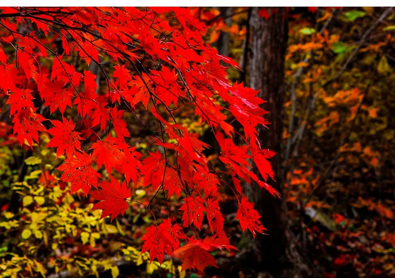 Screenshot 2024-05-09 at 23.02.31.JPG