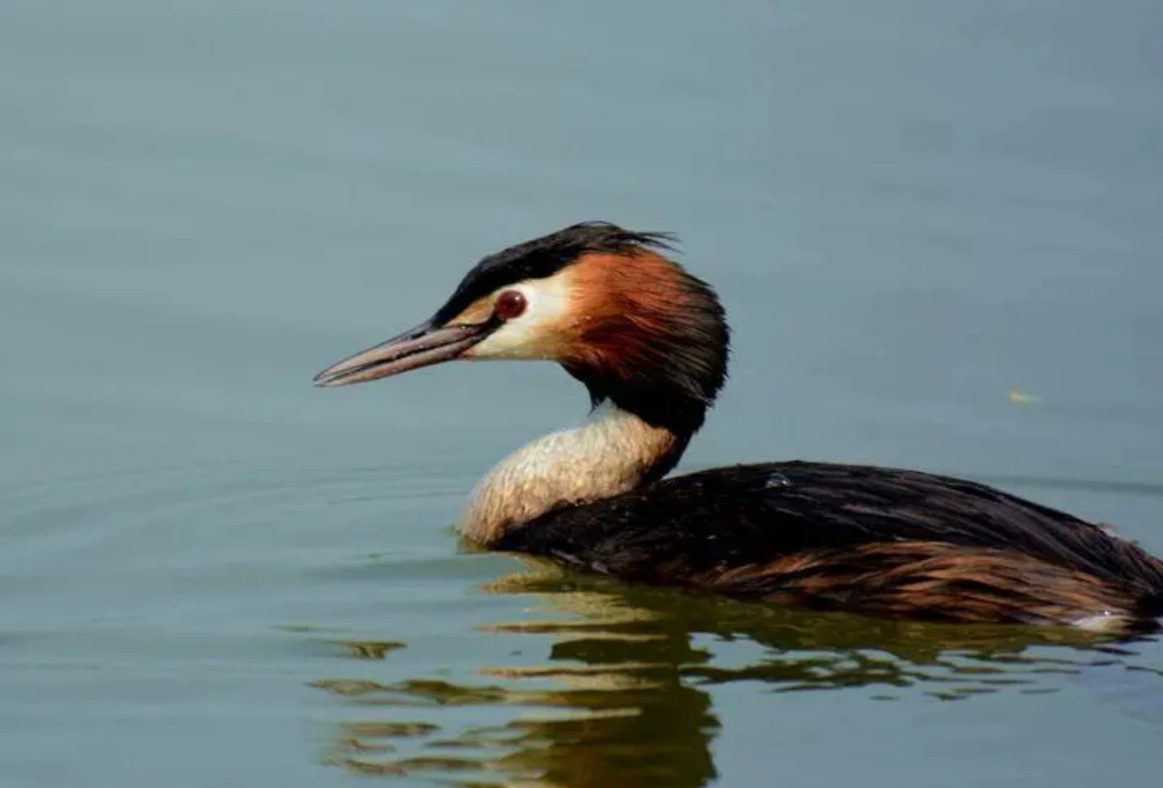 Screenshot 2024-07-21 at 12.39.25.JPG