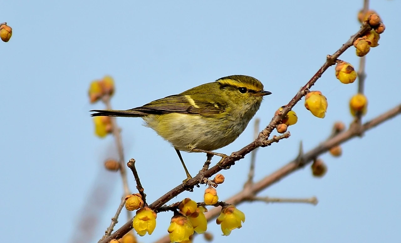 Screenshot 2024-04-25 at 00.40.16.JPG