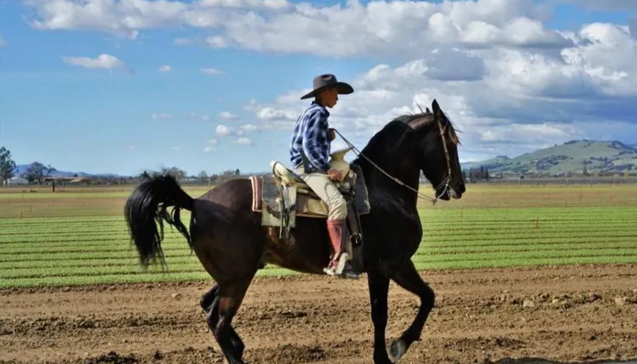 Screenshot 2024-04-24 at 12.02.36.JPG