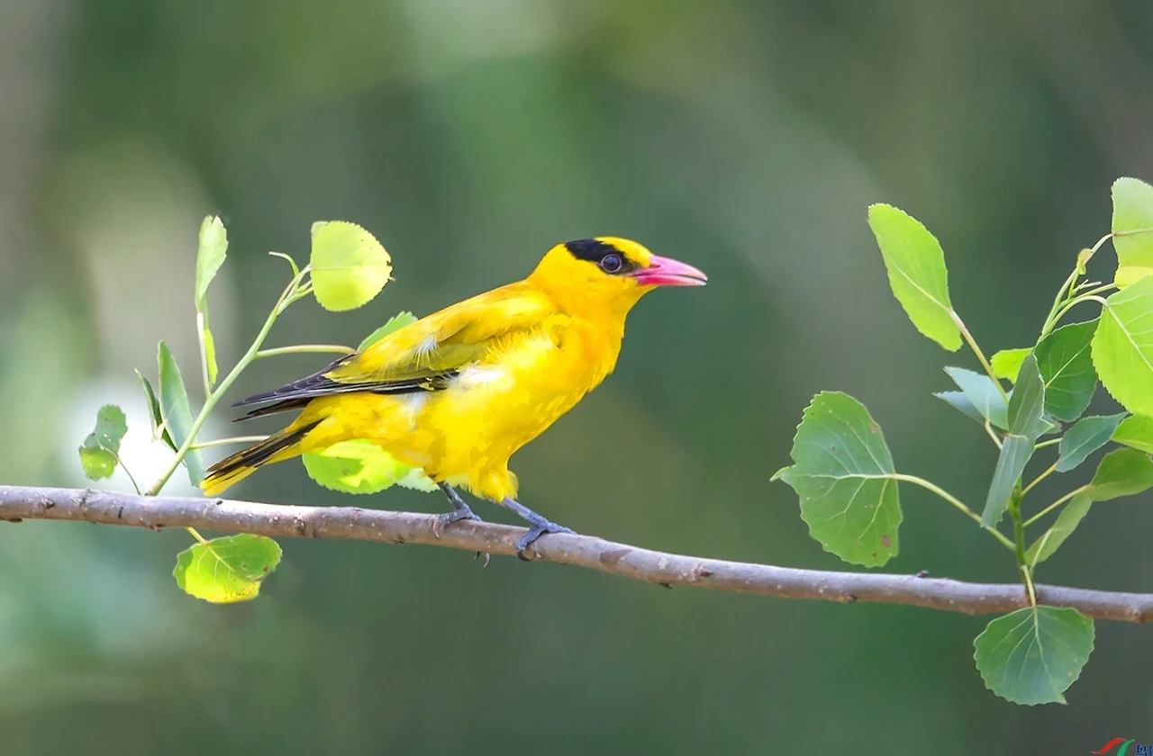 Screenshot 2024-04-24 at 15.25.15.JPG