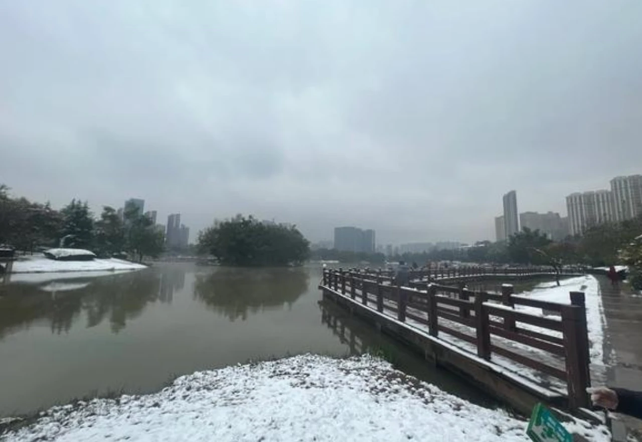 Screenshot 2024-12-19 at 00.05.31.JPG