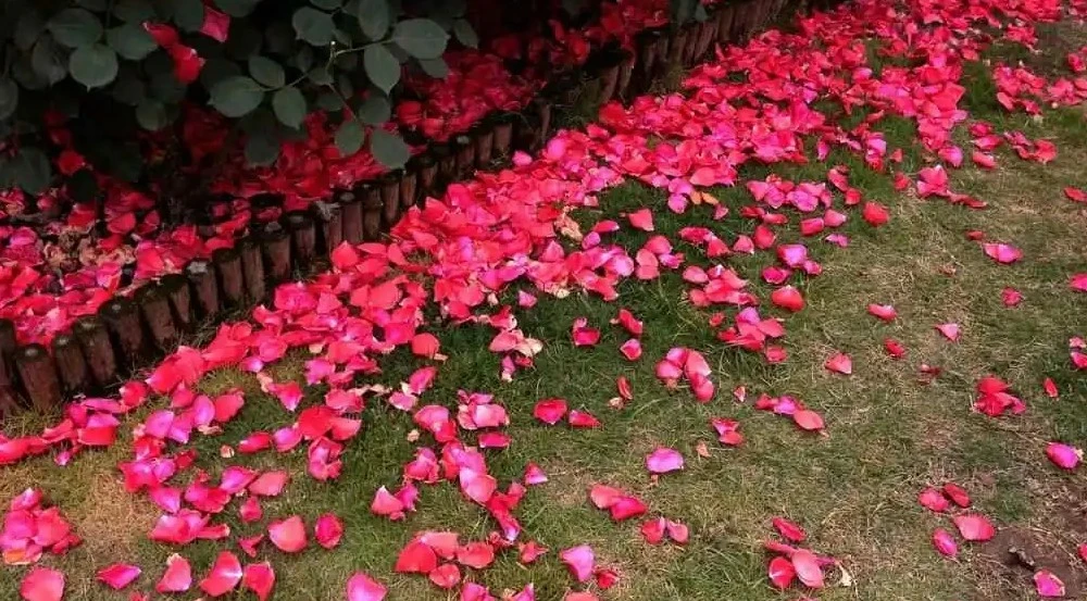 Screenshot 2024-04-27 at 23.08.44.JPG