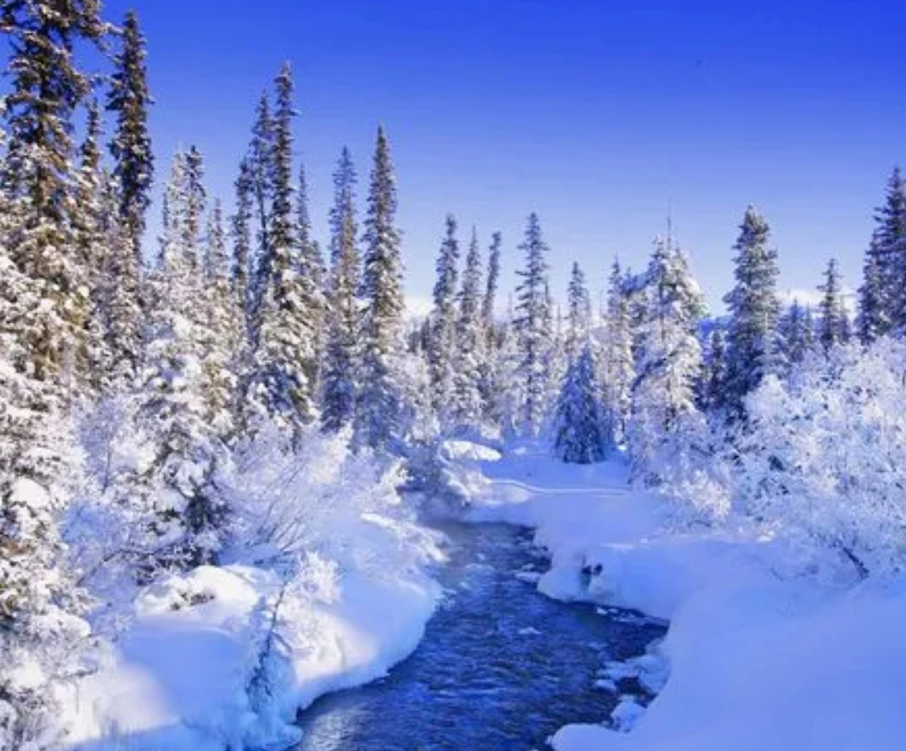 Screenshot 2024-04-28 at 20.45.30.JPG