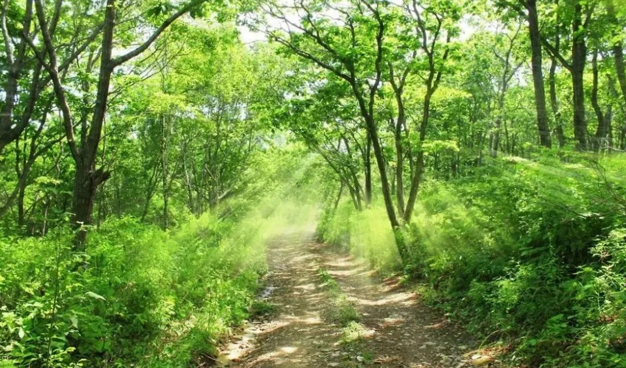 Screenshot 2024-07-13 at 00.51.47.JPG