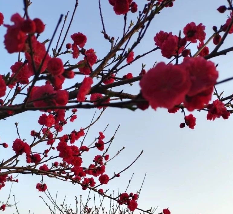 Screenshot 2024-12-18 at 21.22.52.JPG