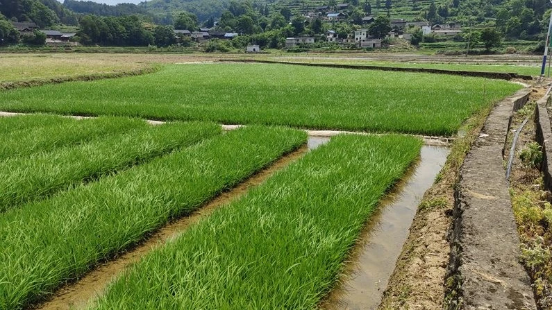 Screenshot 2024-05-14 at 09.52.31.JPG