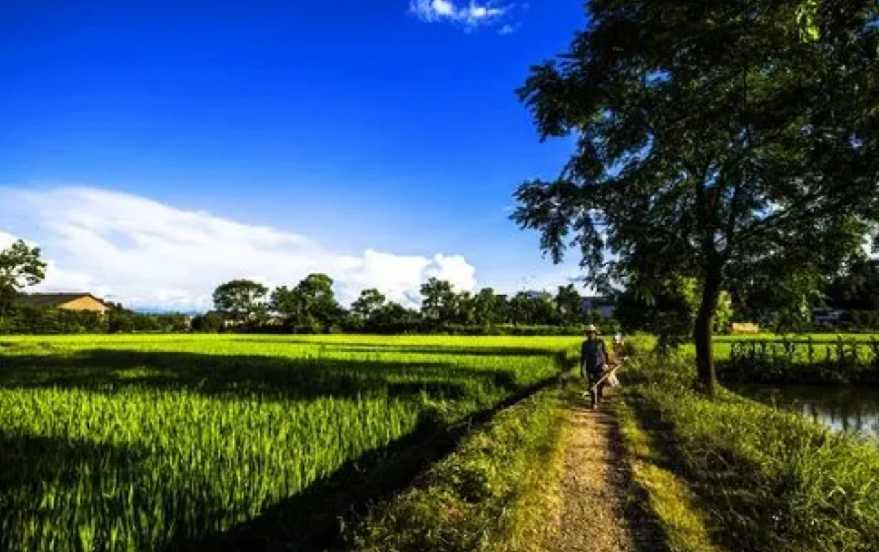 Screenshot 2024-02-10 at 02.04.00.JPG