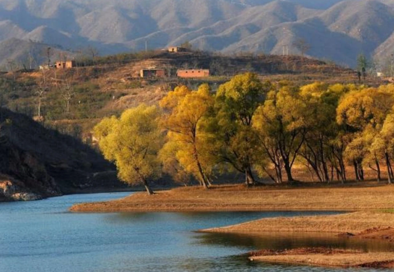 Screenshot 2024-12-18 at 00.10.36.JPG