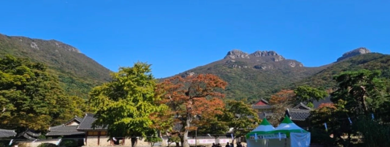 Screenshot 2025-05-11 at 13.36.48.JPG