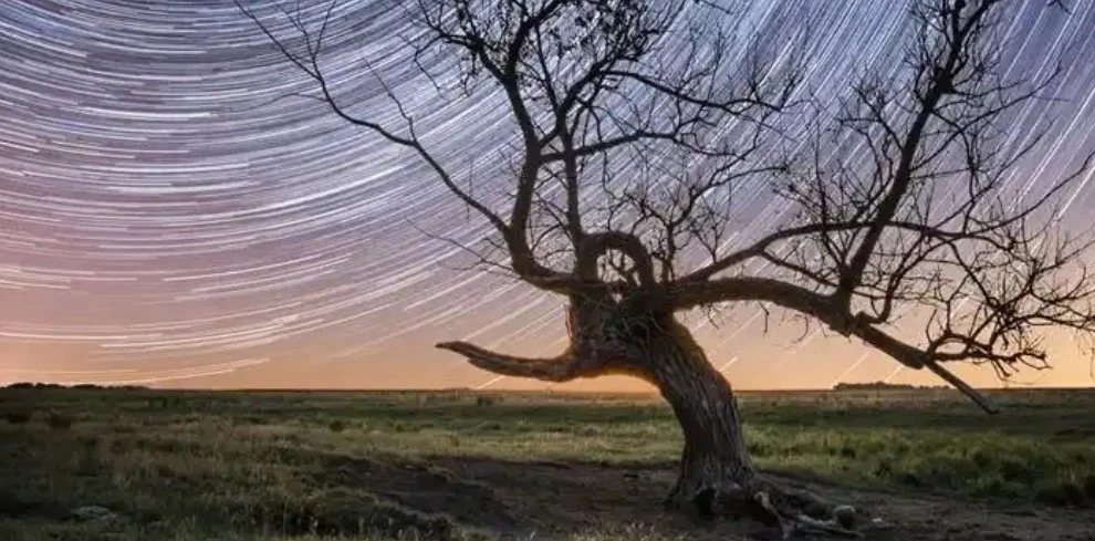 Screenshot 2025-04-06 at 13.59.23.JPG