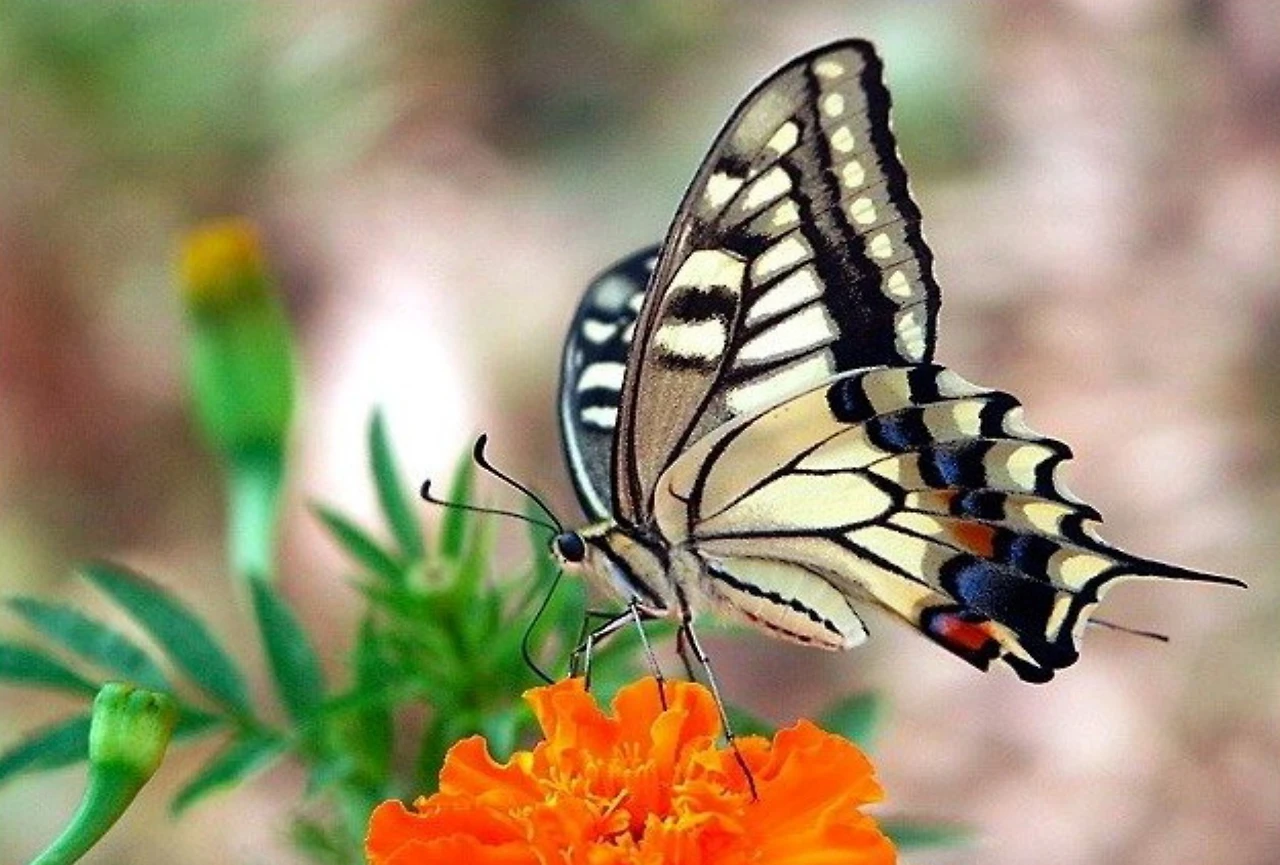 Screenshot 2024-06-03 at 23.54.45.JPG