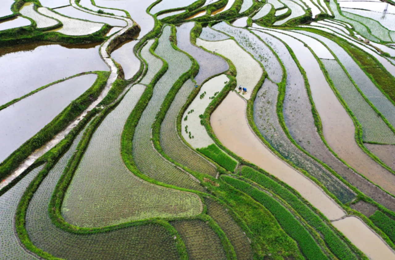 Screenshot 2024-12-20 at 19.15.05.JPG