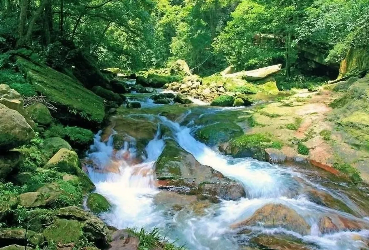 Screenshot 2024-12-14 at 22.54.39.JPG