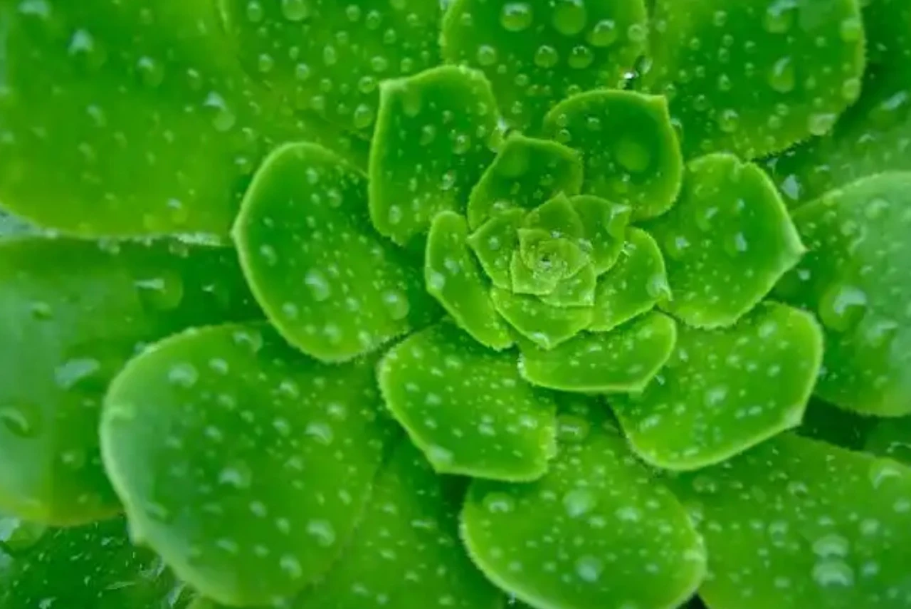 Screenshot 2024-12-18 at 23.08.36.JPG