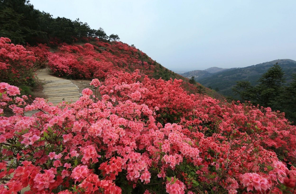 Screenshot 2024-04-22 at 19.25.54.JPG