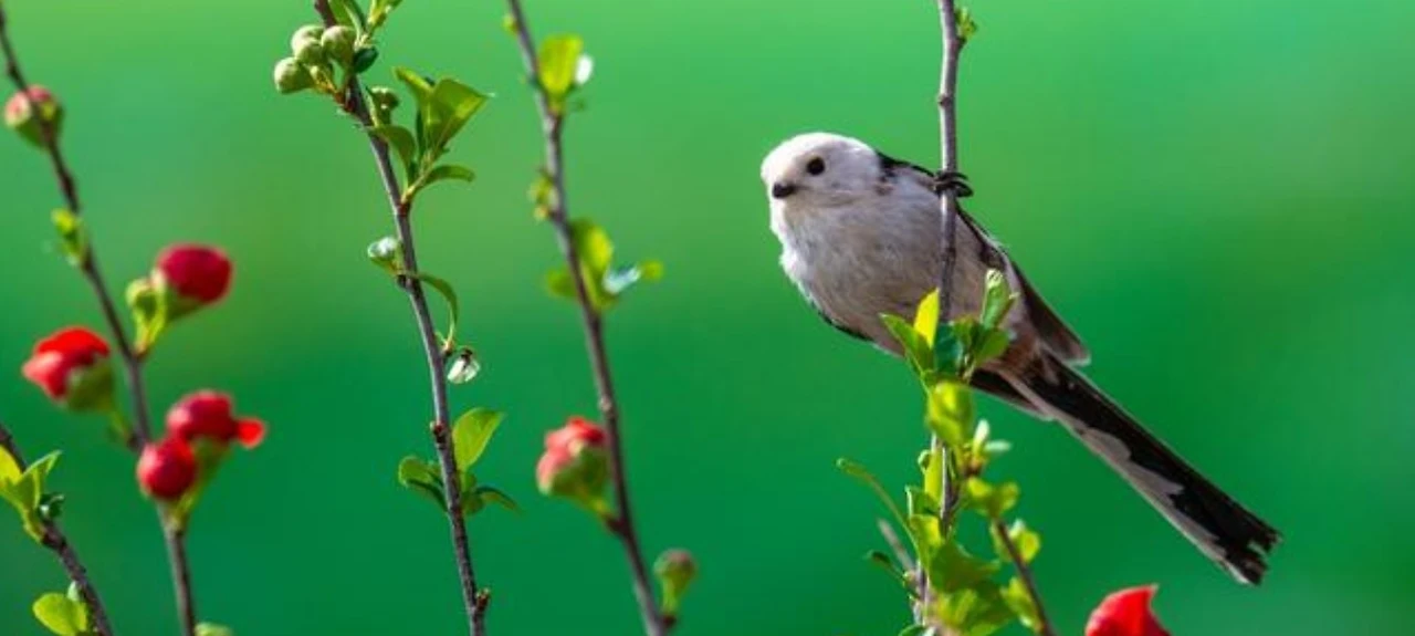 Screenshot 2025-05-05 at 13.11.50.JPG