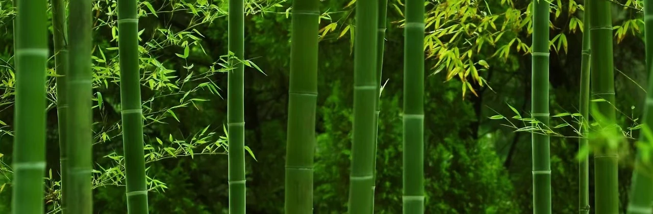 Screenshot 2025-05-05 at 16.03.20.JPG