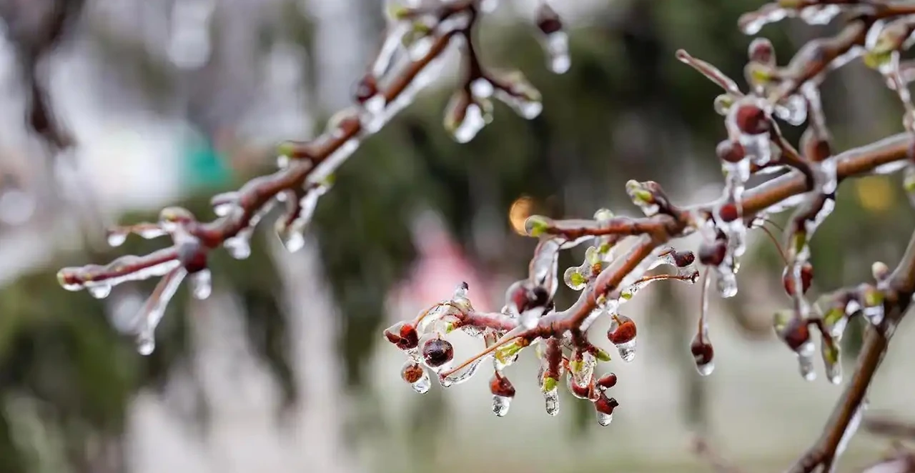 Screenshot 2025-03-10 at 21.17.27.JPG