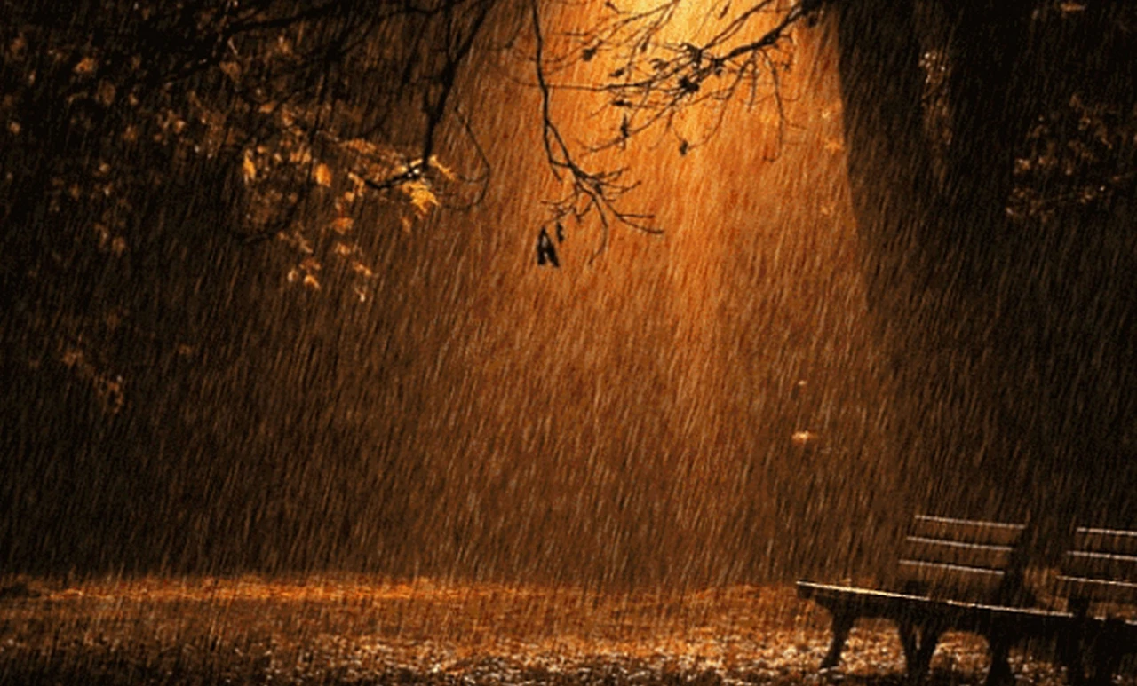 Screenshot 2024-12-19 at 21.08.24.JPG