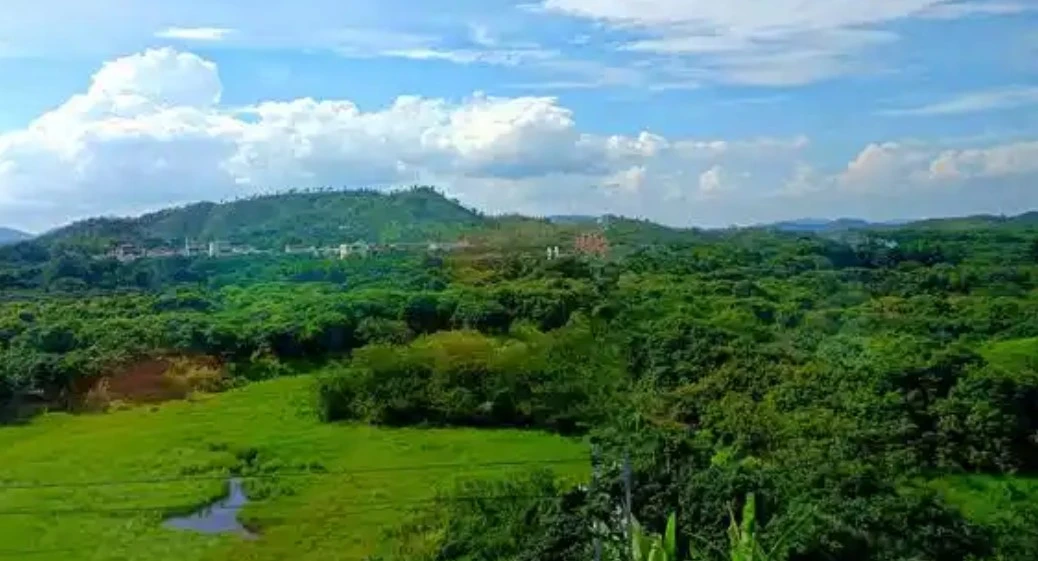 Screenshot 2025-06-24 at 00.08.03.JPG