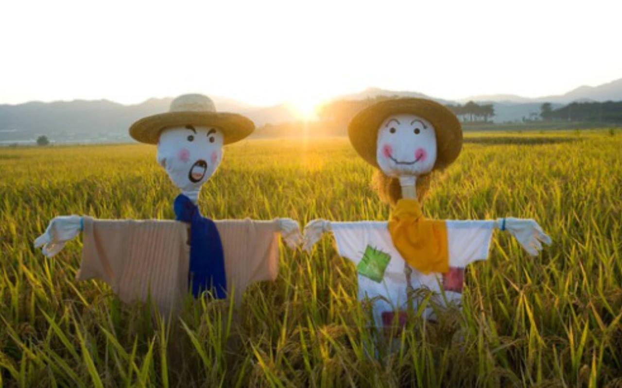 Screenshot 2024-05-14 at 11.38.15.JPG