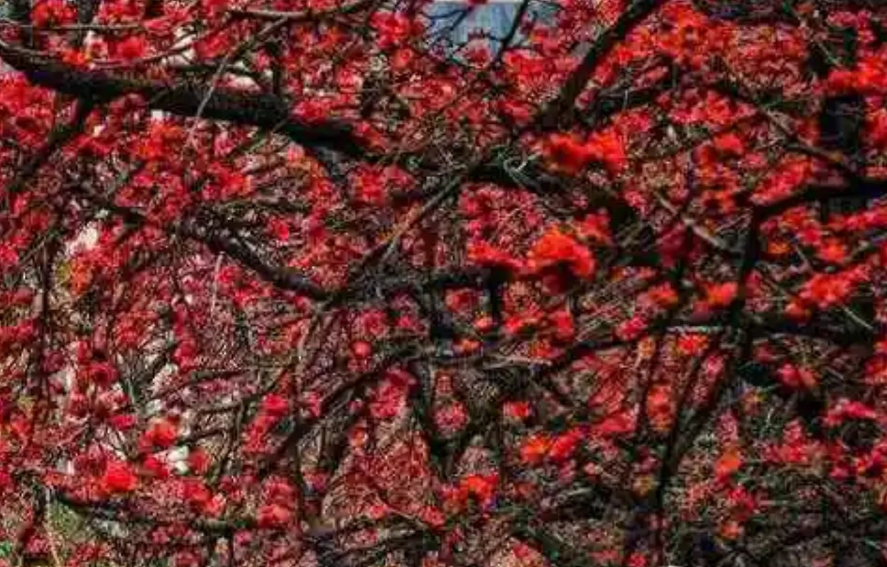 Screenshot 2024-12-18 at 21.23.40.JPG