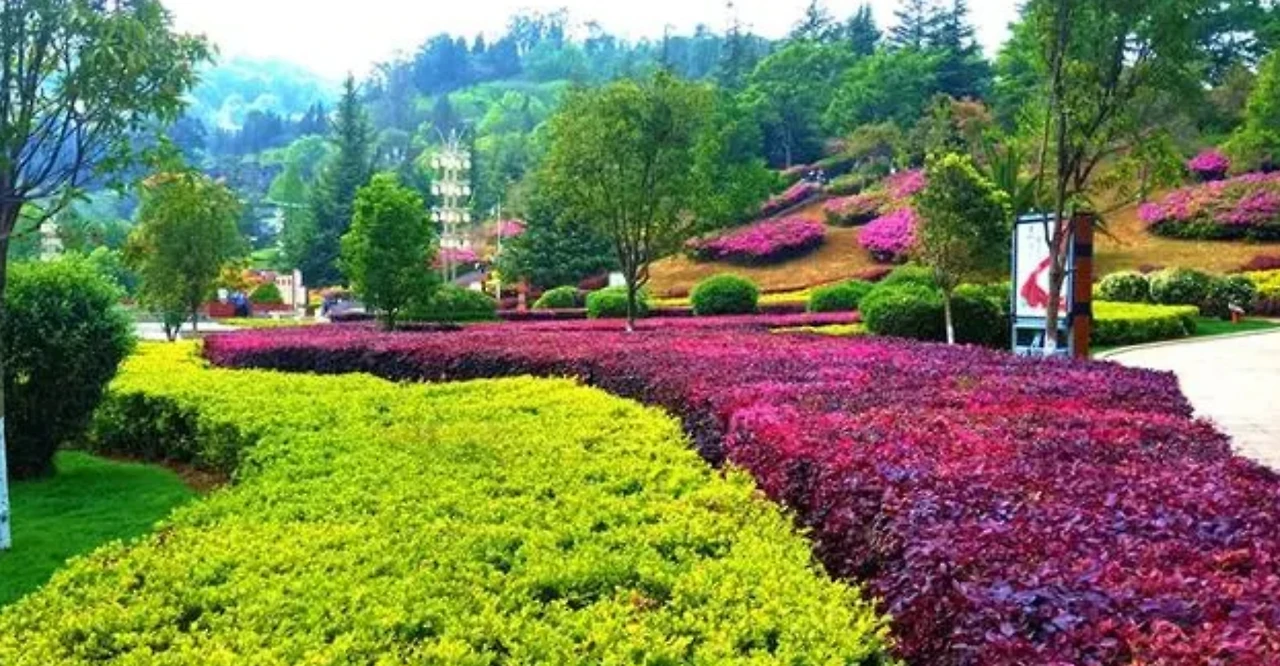 Screenshot 2024-05-15 at 20.58.10.JPG