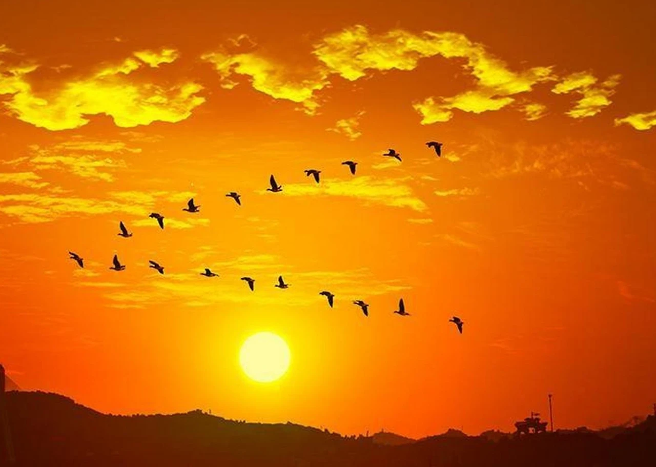 Screenshot 2024-10-14 at 22.10.11.JPG