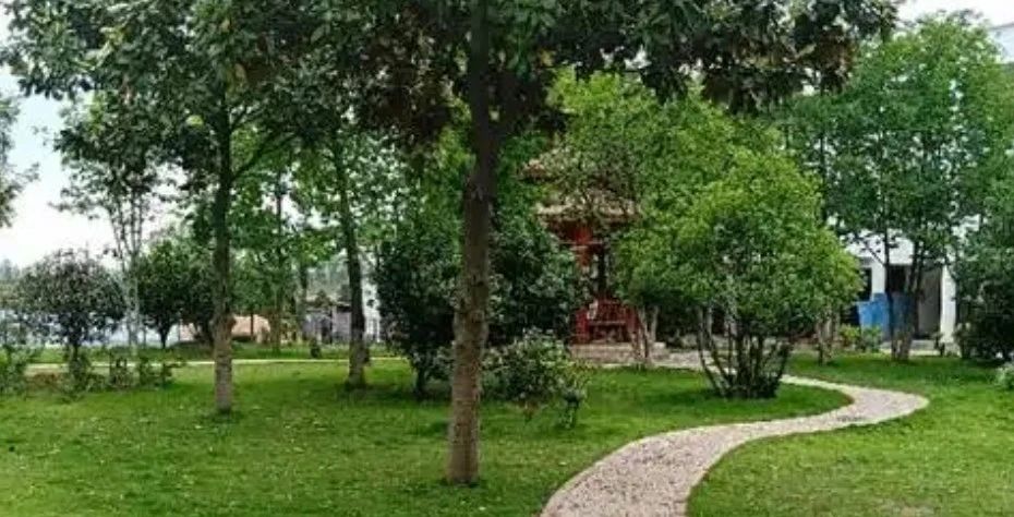 Screenshot 2025-04-27 at 19.18.37.JPG